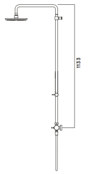 Waterevolution Flow douchecombinatie met regendouche messing natuur 250mm T141N25LE