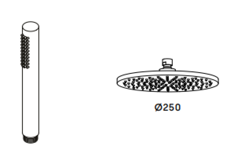 Waterevolution Flow douchecombinatie met regendouche RVS 250mm T141N25IE